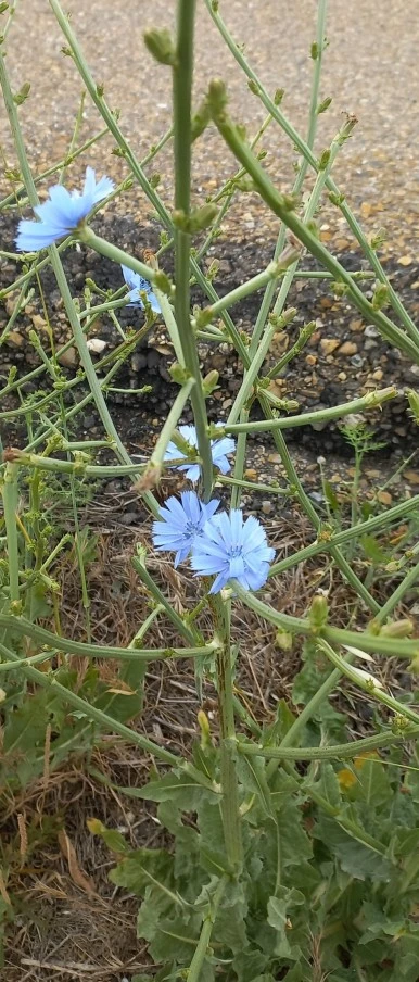 SE-f84486f4-fe52-493f-a177-0fb0180d5808.jpg?type=w386