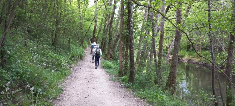 20230508_100718.jpg?type=w773