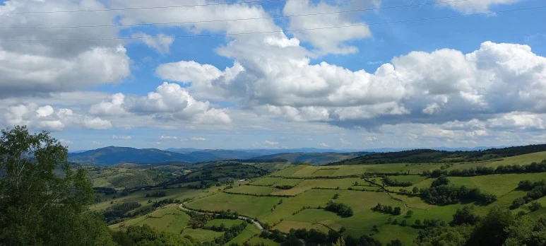 20230602_121003.jpg?type=w773