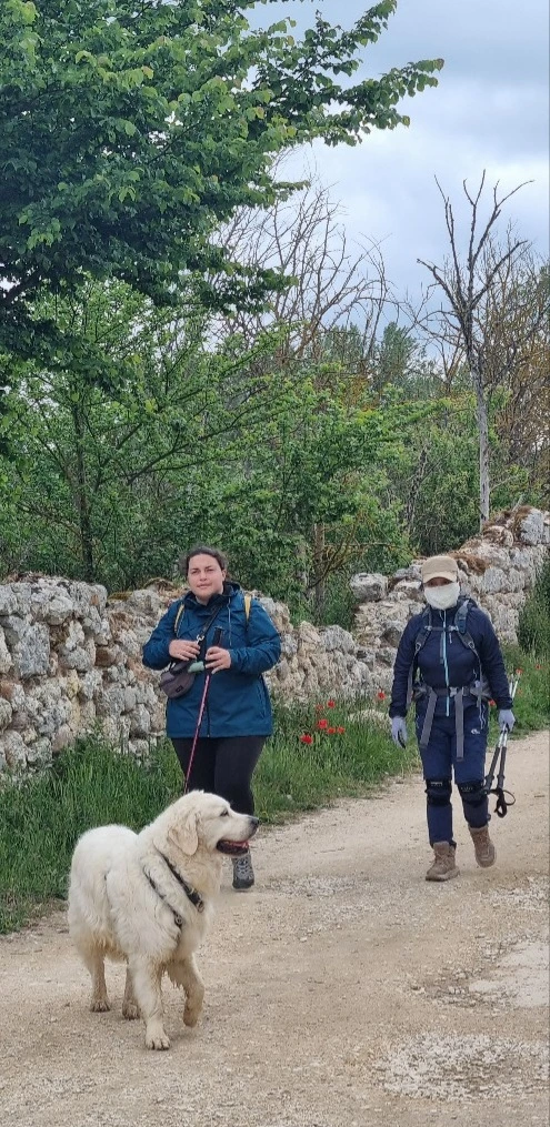 1684251147809.jpg?type=w773