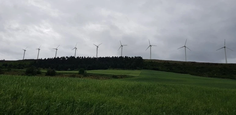 1683650305062.jpg?type=w773