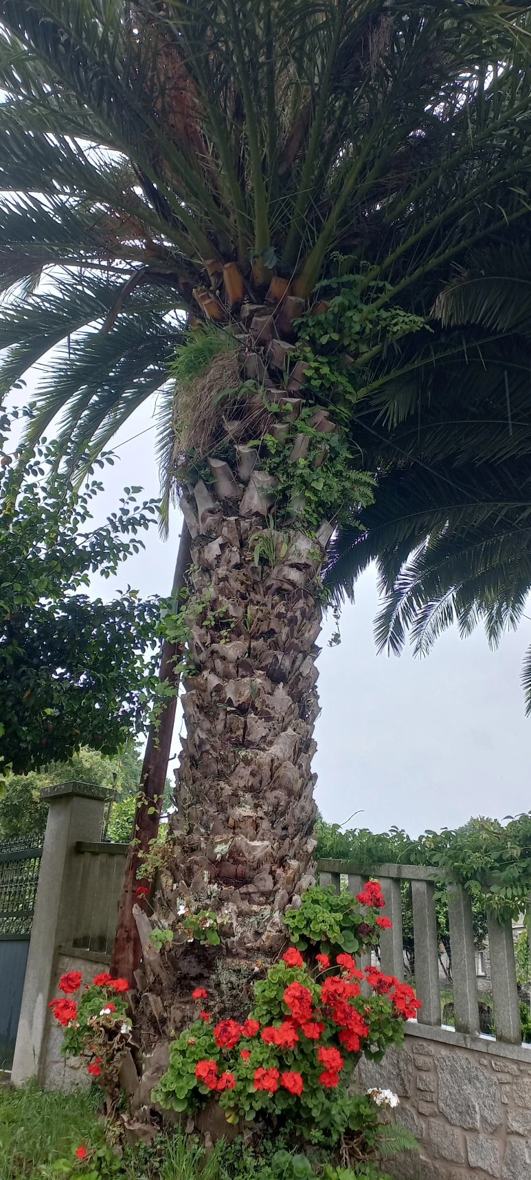 20230607_092751.jpg?type=w773