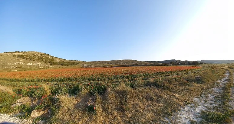 20230519_075335.jpg?type=w773