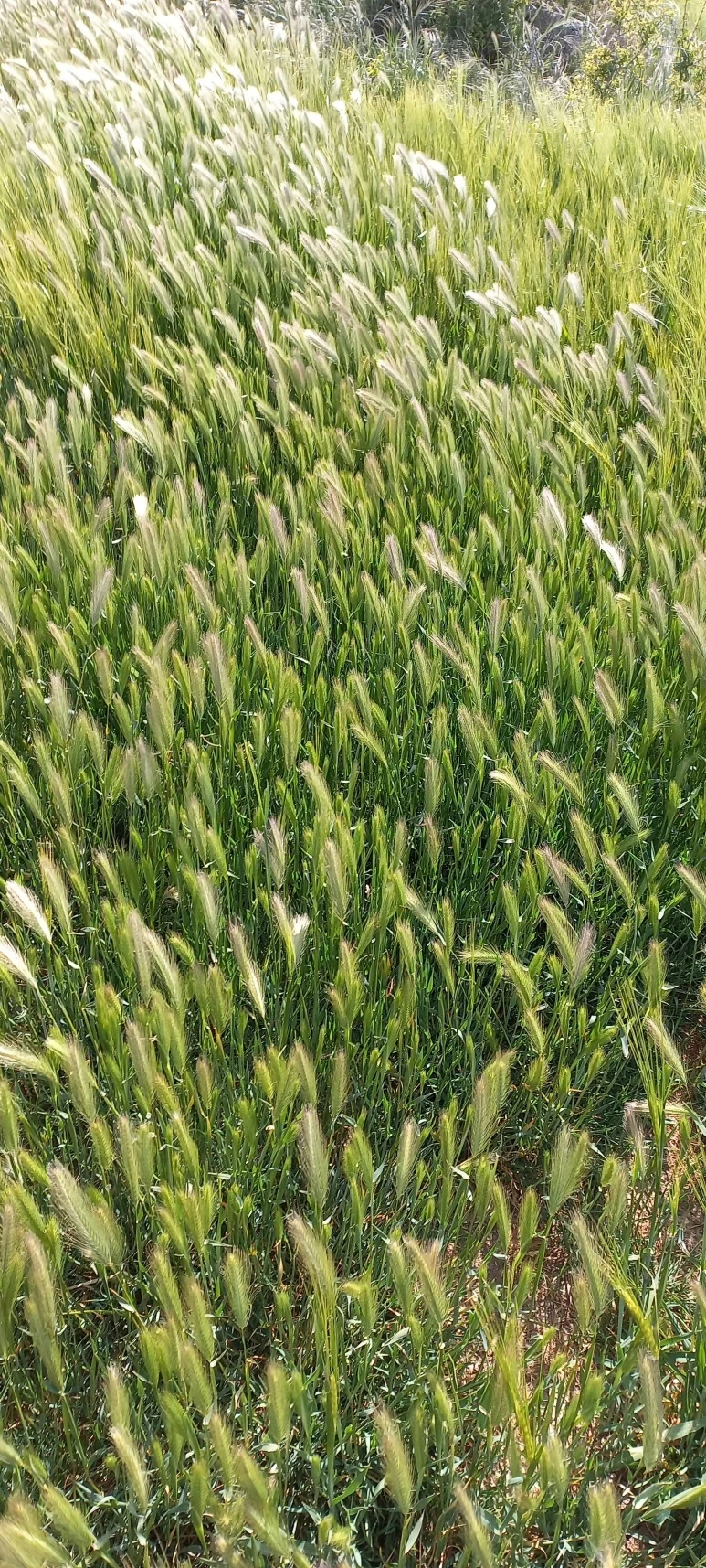 20230518_172618.jpg?type=w773