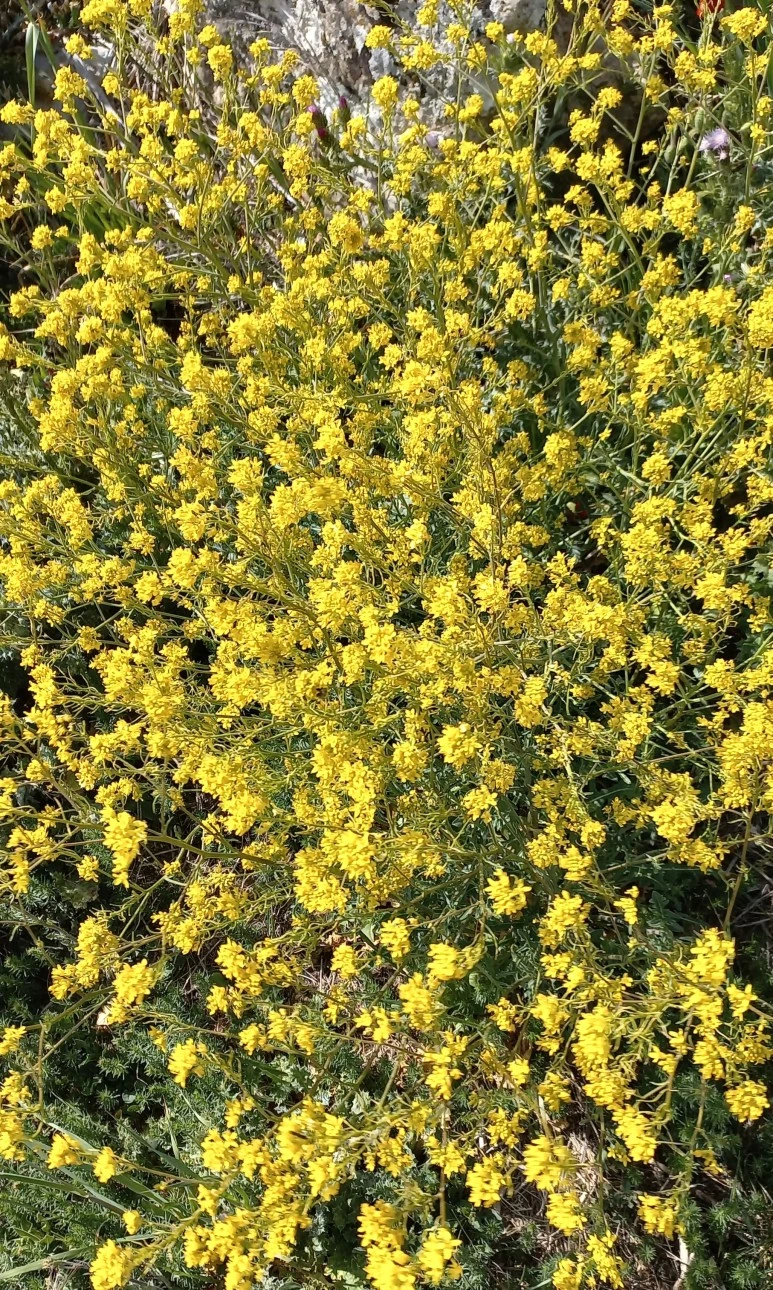 20230518_172346.jpg?type=w773