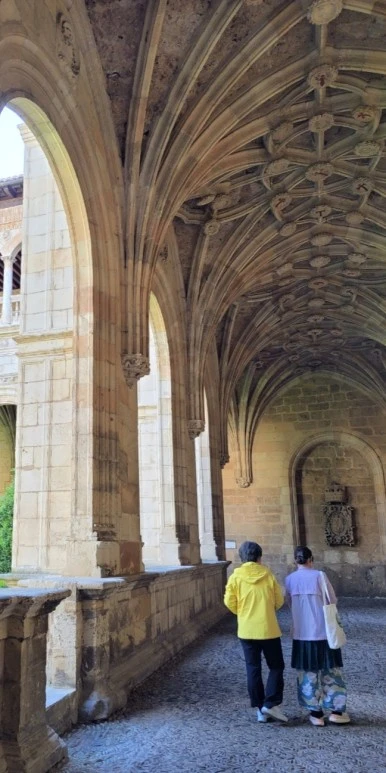 SE-d937259e-6281-42c6-9788-ea86b3174f82.jpg?type=w386