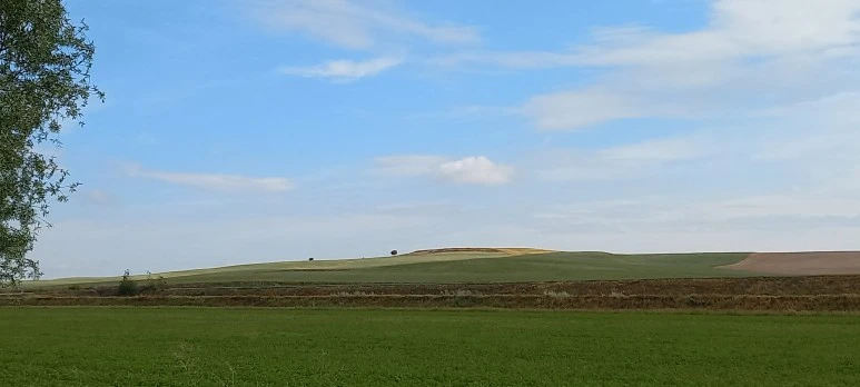 20230520_095251.jpg?type=w773