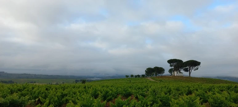 20230531_082248.jpg?type=w773