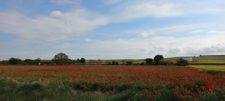 20230520_100050.jpg?type=w773