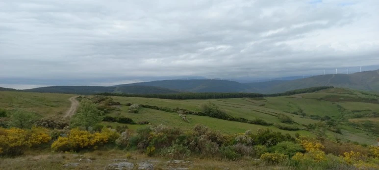 20230529_101322.jpg?type=w773