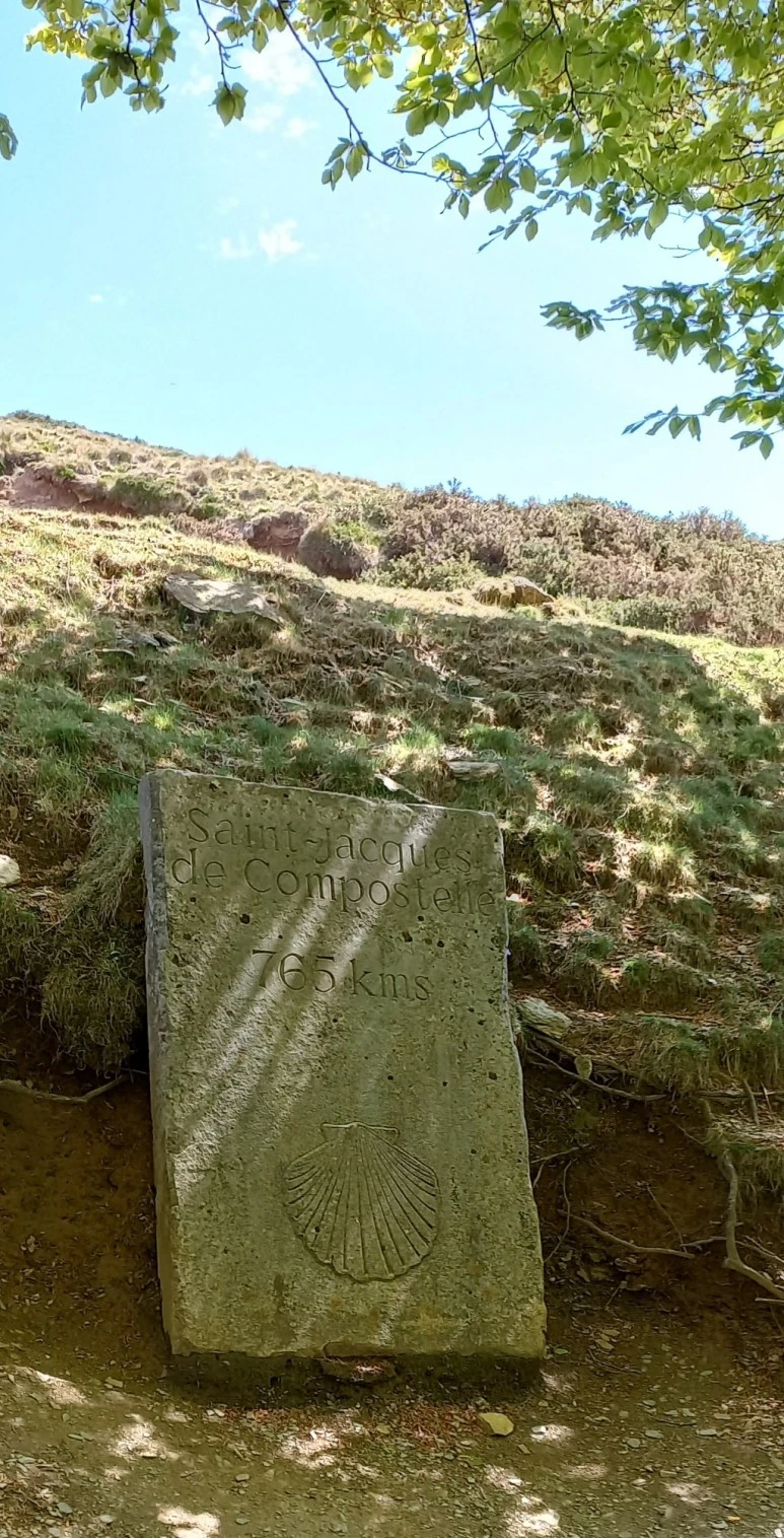 SE-e7df3fab-39bd-42de-84d0-77eeb01964bf.jpg?type=w773