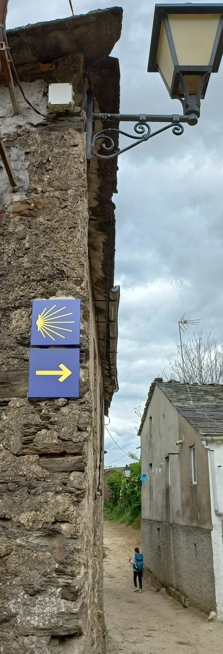 SE-77fca3c2-7252-4652-882a-c98db7196afa.jpg?type=w773