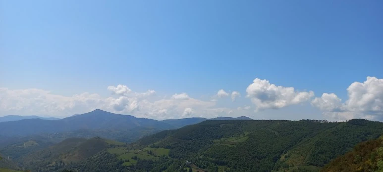 20230601_122920(0).jpg?type=w773