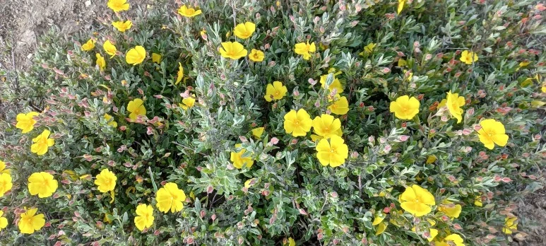 SE-6a8467b0-8848-4b74-8d51-cc35ecee26d5.jpg?type=w773