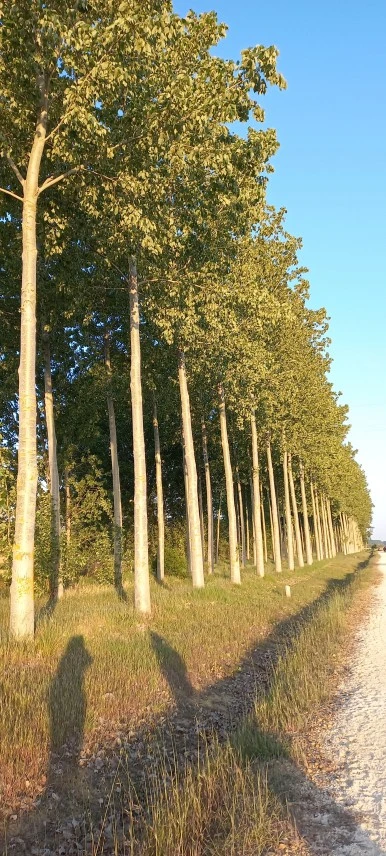 20230521_074003.jpg?type=w386