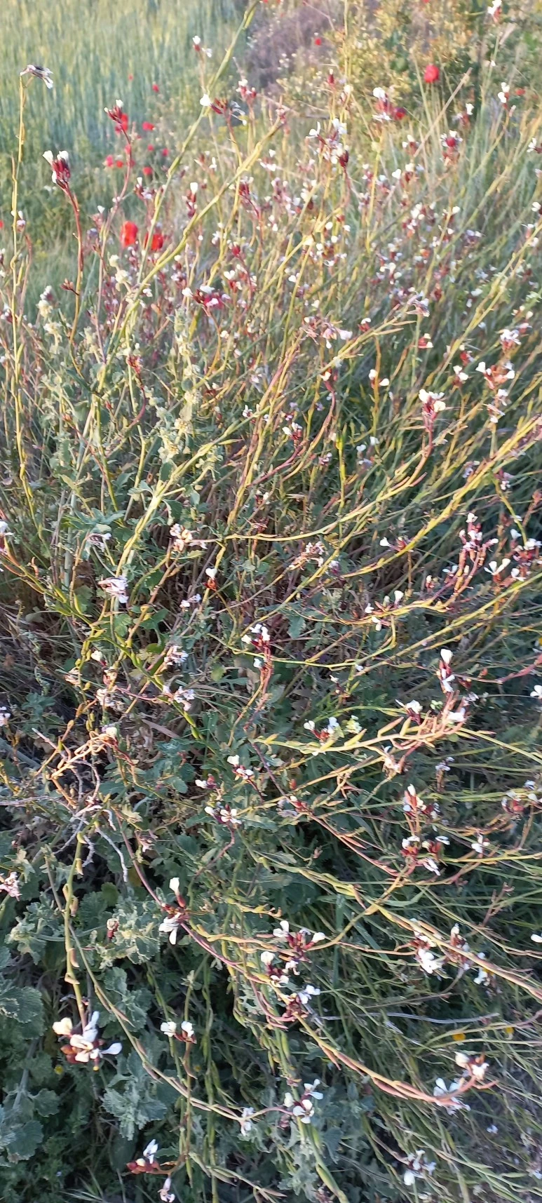 20230519_072915.jpg?type=w773