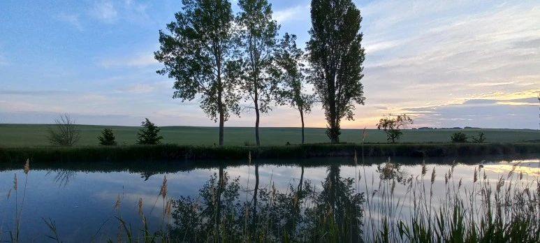 20230520_072418.jpg?type=w773