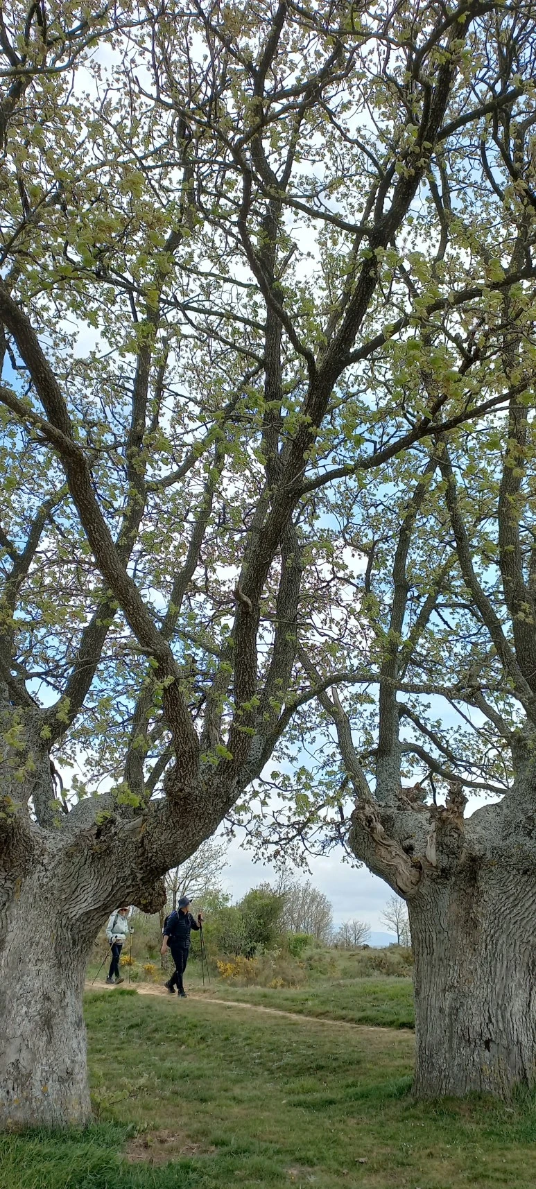 20230516_151349.jpg?type=w773