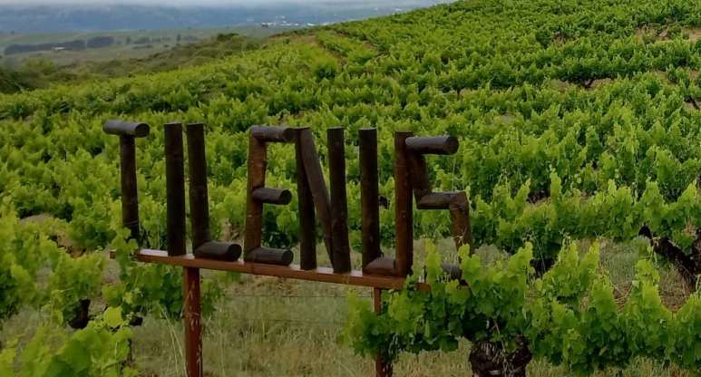 SE-0e95a937-bfdc-4773-b89a-0a8694513264.jpg?type=w773