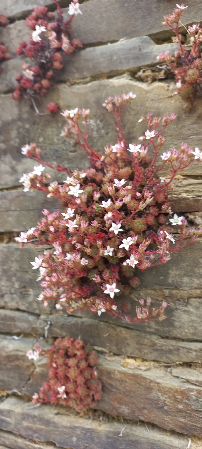 20230602_133147.jpg?type=w773