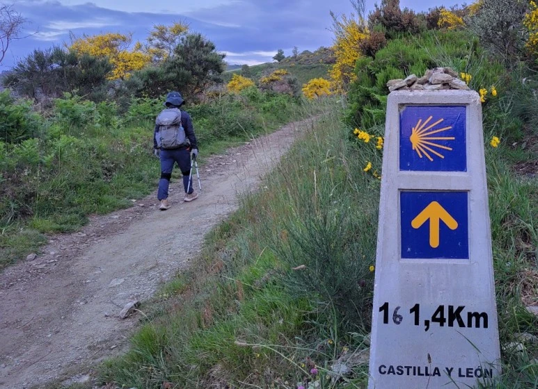 SE-e0237672-7bdf-44d0-adcf-92b967d2b3a4.jpg?type=w773