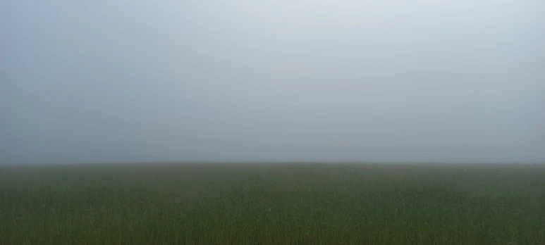 20230605_083047.jpg?type=w773