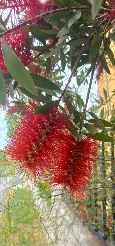 SE-ad473f5e-d0f7-443b-834b-f4e3d0991c42.jpg?type=w386