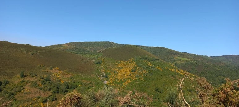 20230601_100345.jpg?type=w773