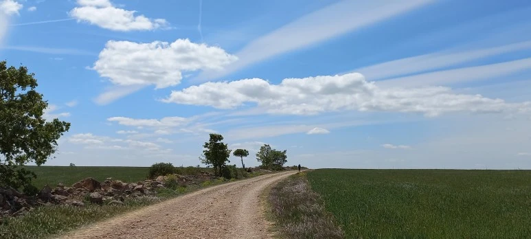 20230518_153909.jpg?type=w773