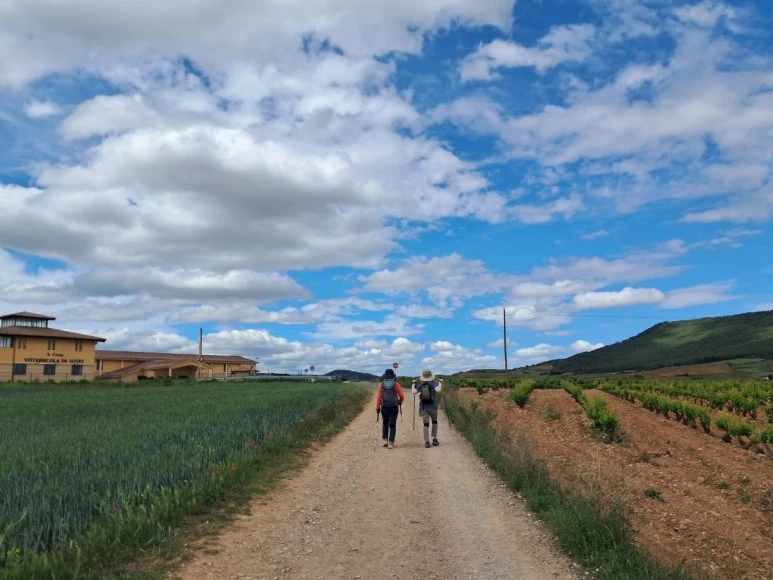 1684000735314.jpg?type=w773