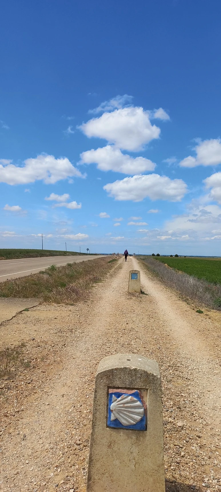 20230520_142850.jpg?type=w773