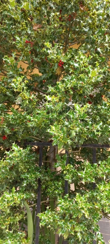 20230530_121236.jpg?type=w386