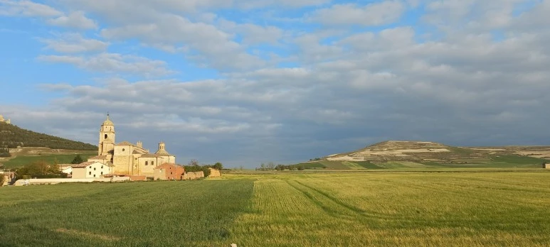 SE-4e13ea58-3760-4718-a6d6-1de88520258b.jpg?type=w773