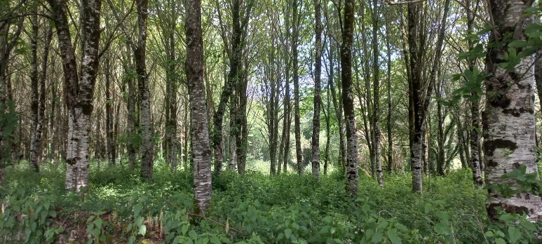 20230605_122843.jpg?type=w773