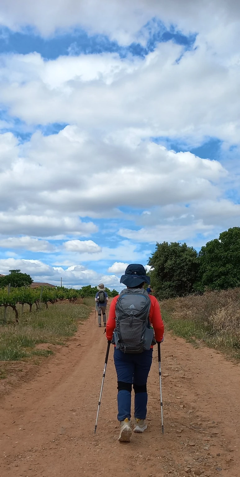 20230513_123206.jpg?type=w773