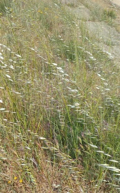 SE-74af54b6-c093-4fcd-90f9-be2a8625396d.jpg?type=w386