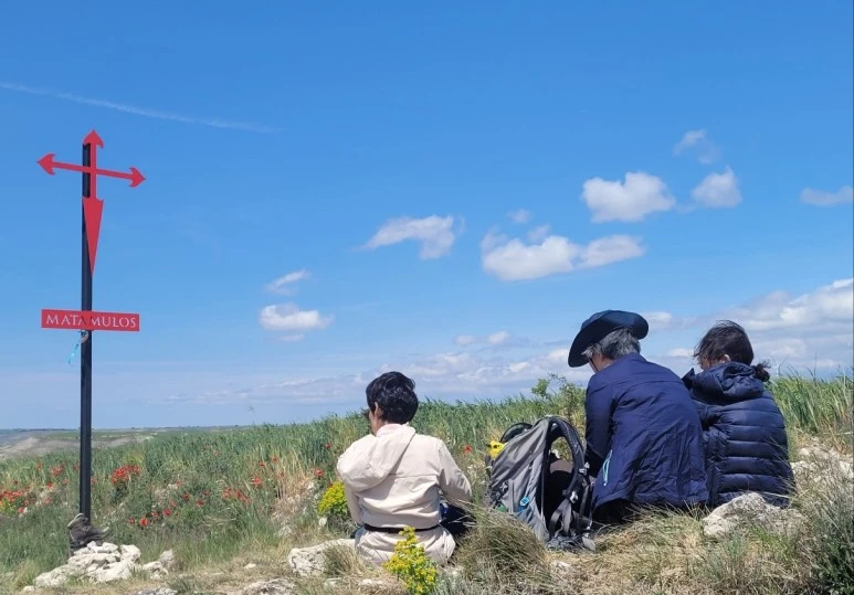 1684465136611.jpg?type=w773