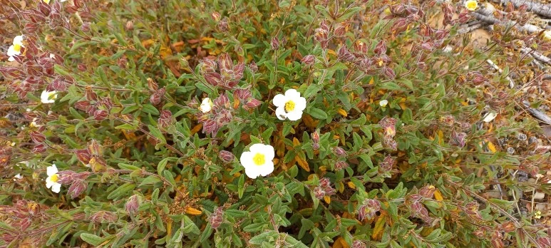 20230527_113156.jpg?type=w773