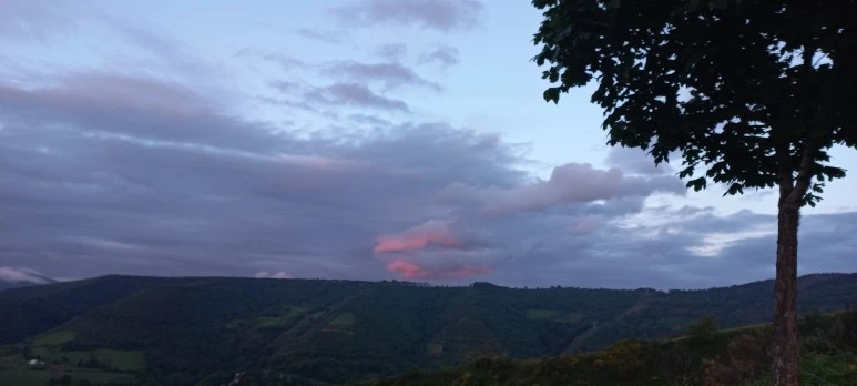 20230602_065615.jpg?type=w773