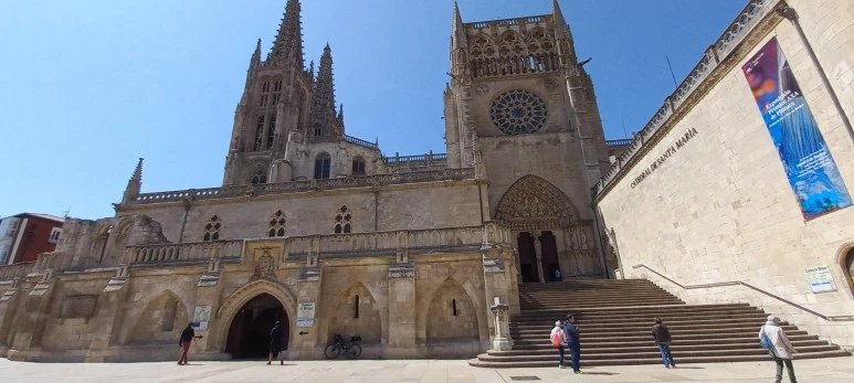 SE-c55ad0e9-75e8-450d-b756-218254225978.jpg?type=w773