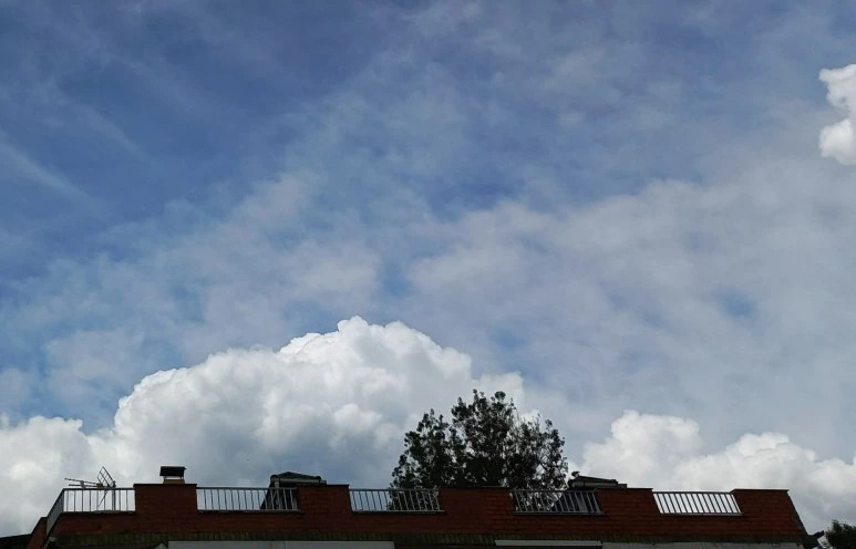 SE-a6d9c586-86fc-4334-87c9-f930d3402a6f.jpg?type=w773