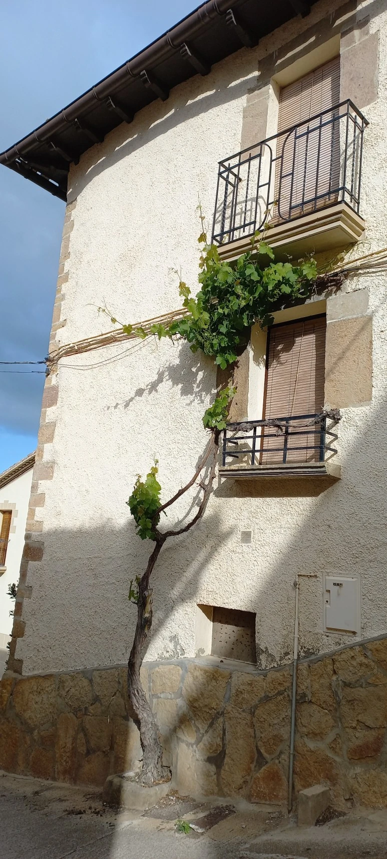 20230510_092948.jpg?type=w773