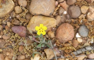 SE-1c6b1105-1fa5-4cc4-933f-17e358c73e3f.jpg?type=w386