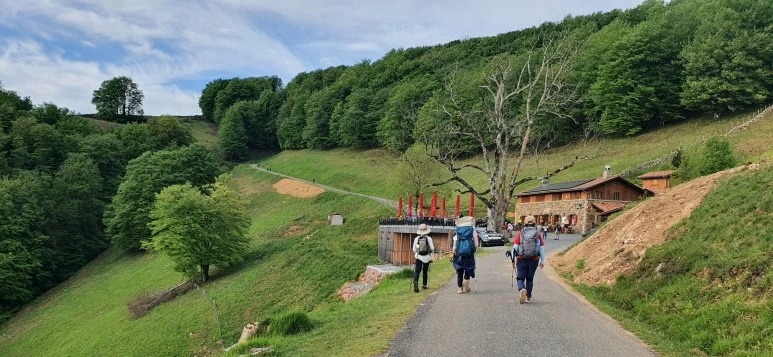 SE-df9e14a6-5144-4786-a5df-278acaa9e8af.jpg?type=w773