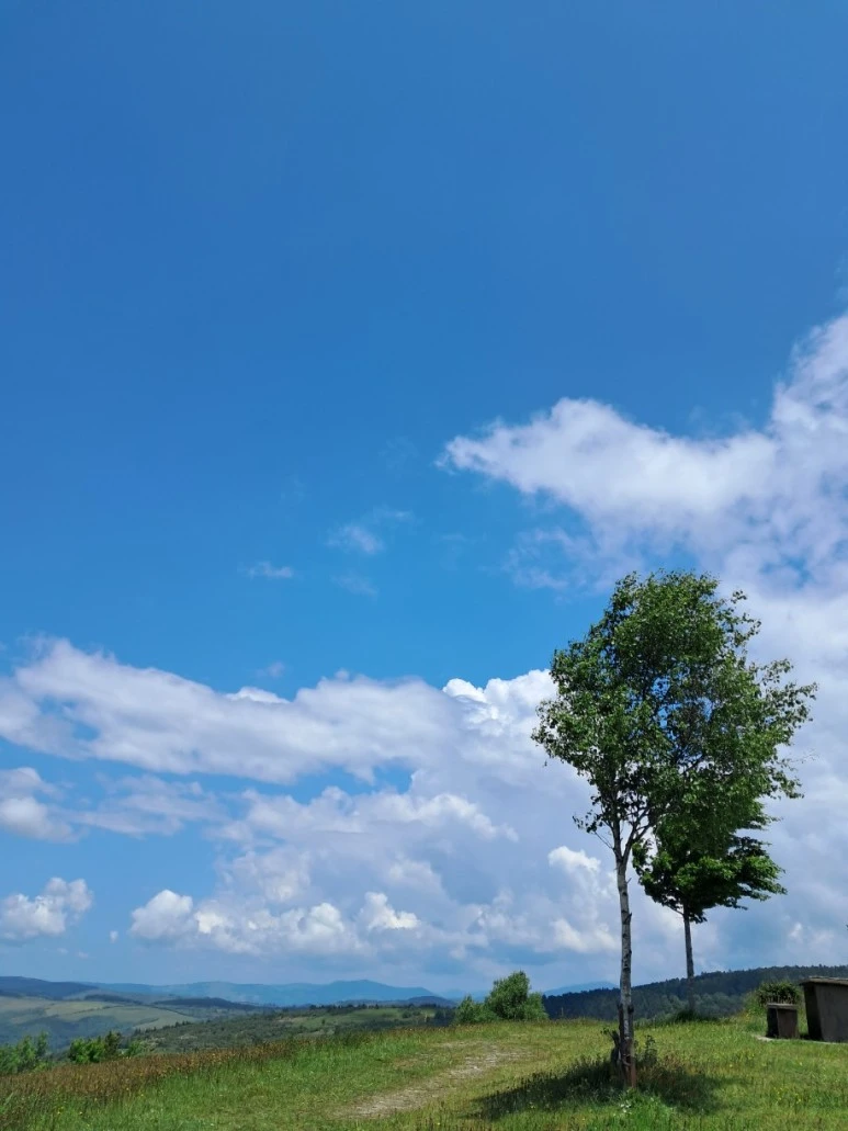 1685628684449.jpg?type=w773