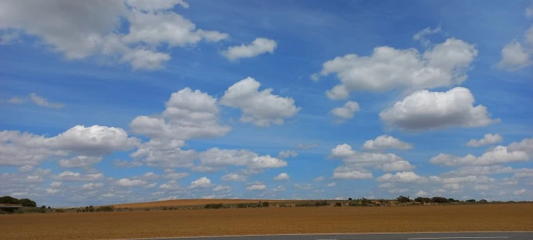 20230521_140718.jpg?type=w773