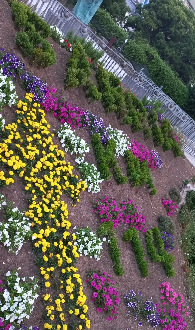 SE-fa6977c8-89d3-4907-8aae-dc6704f8135c.jpg?type=w773