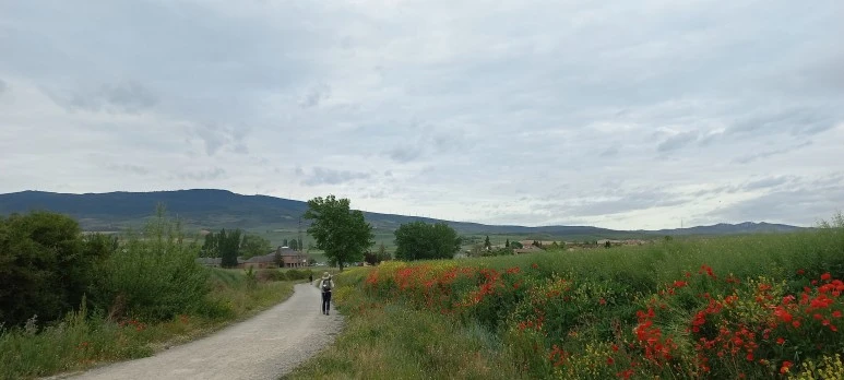 20230509_084407.jpg?type=w773