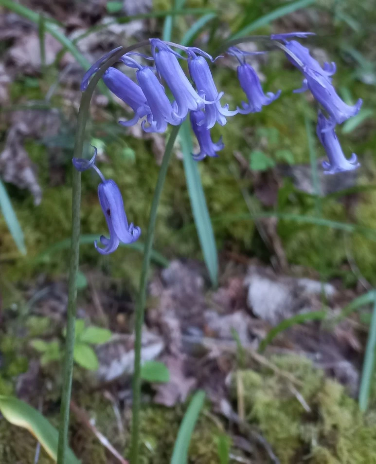 SE-2a5f70c0-9af0-4932-b34d-d5de20713d7f.jpg?type=w773