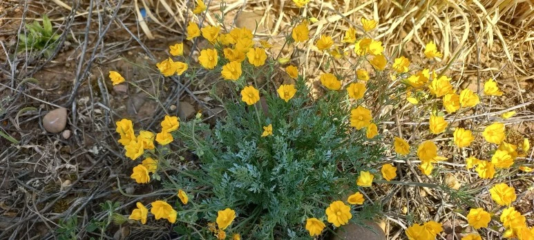 SE-259a7a94-f8c3-44fe-9af4-6bf4af8856aa.jpg?type=w773